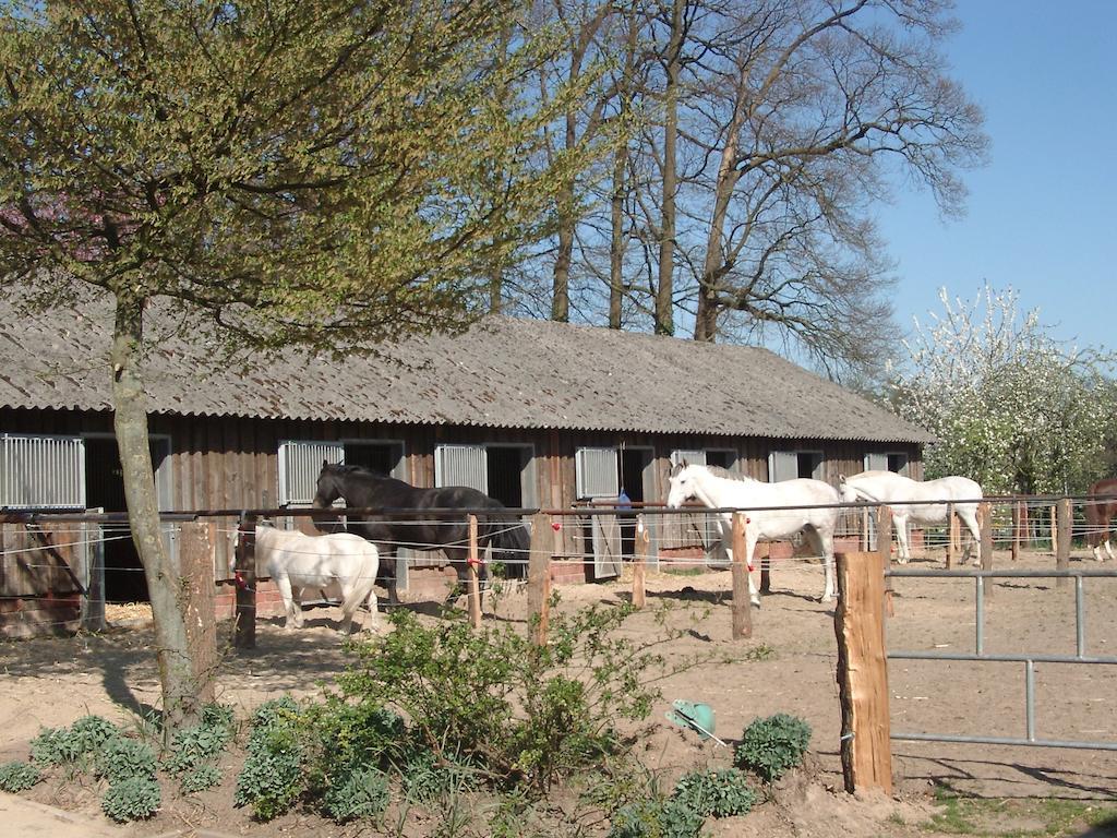 Ferienhof Schmidt Villa Ankum Buitenkant foto